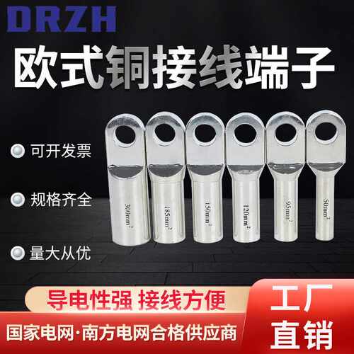 欧式插拔头铜端子镀锡接线端子铜接头铜线耳铜鼻子DT-25-35-50-70
