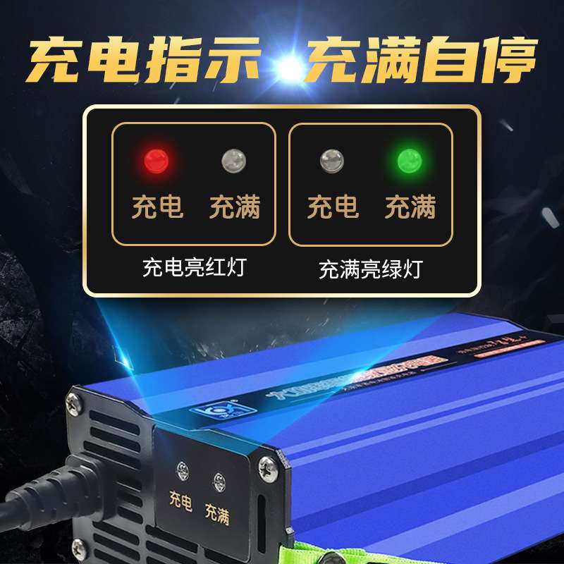 叉车充电器12V24V10A15A20A30A伏液压堆高车搬运升降机洗地机电瓶