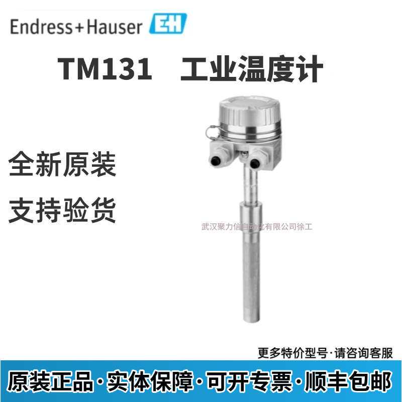 E+H 热电阻芯 TPR100-AAJ1CH000