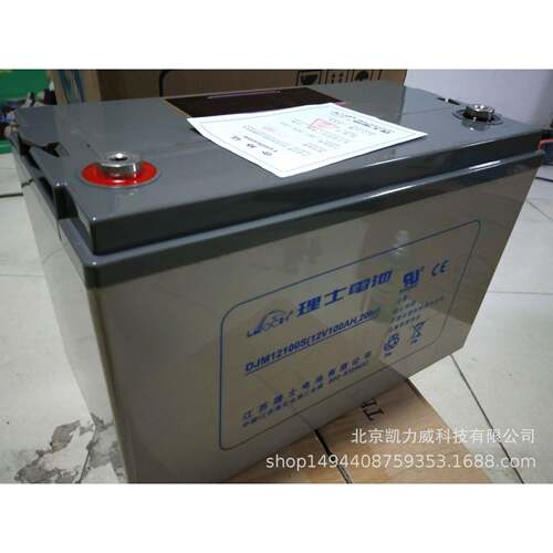 理士(LEOCH) DJM12100 不间断电源电池 12V100AH EPS铅酸蓄电池