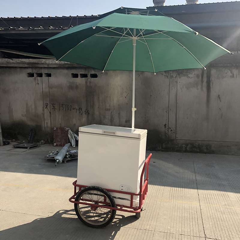 三轮手推车带太阳能冷柜摆摊车地摊车冷饮冰淇淋咖啡奶茶创业小车