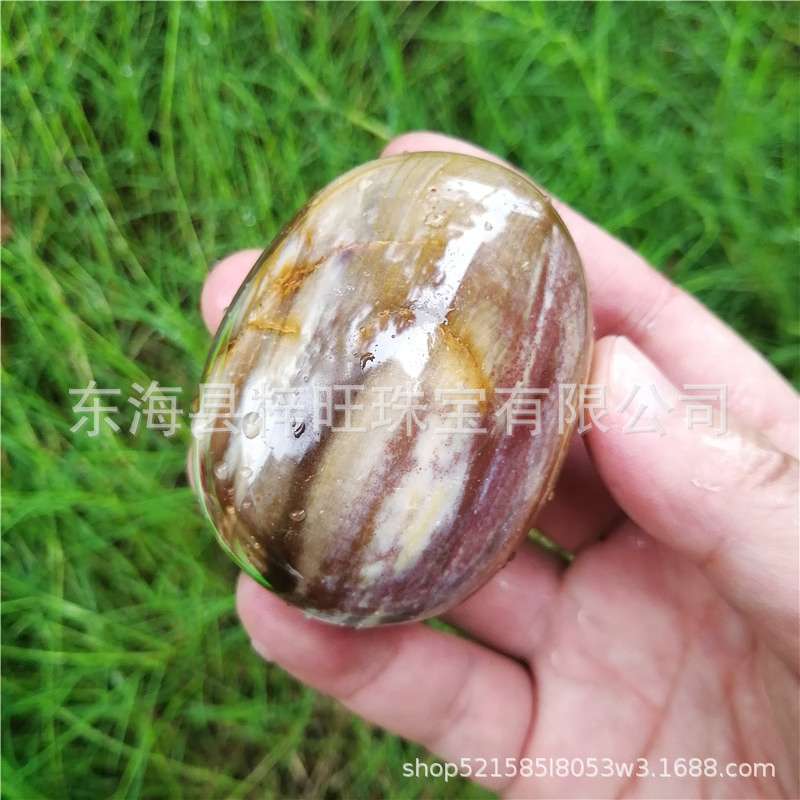 厂家 水晶把玩天然木化石原石树化玉手把件手掌石摆件家居摆件