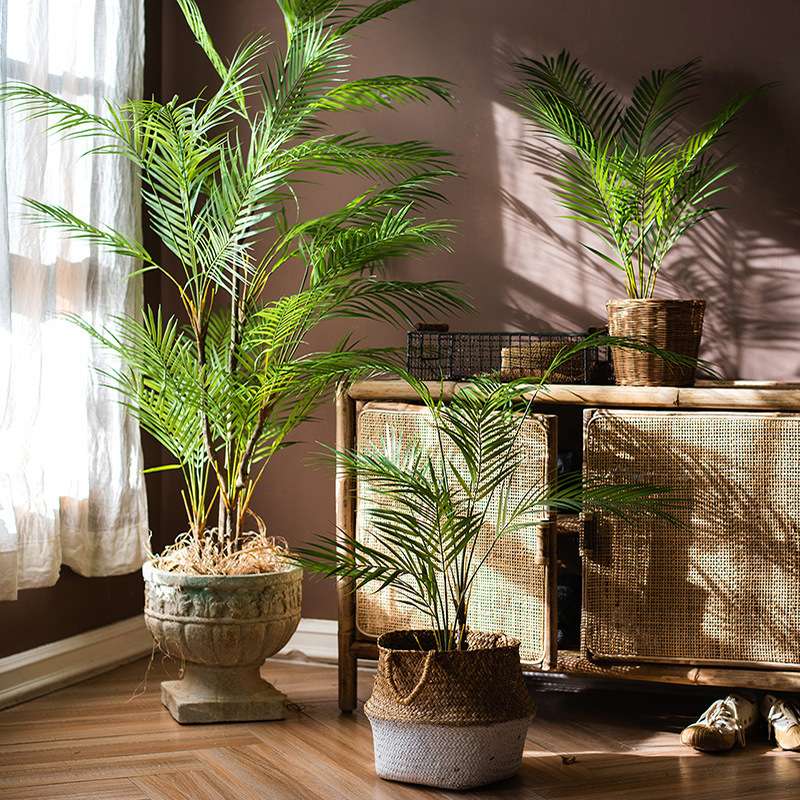 盆栽散尾葵假植物室内装饰落地棕榈树摆件 办公绿植墙仿真仿生