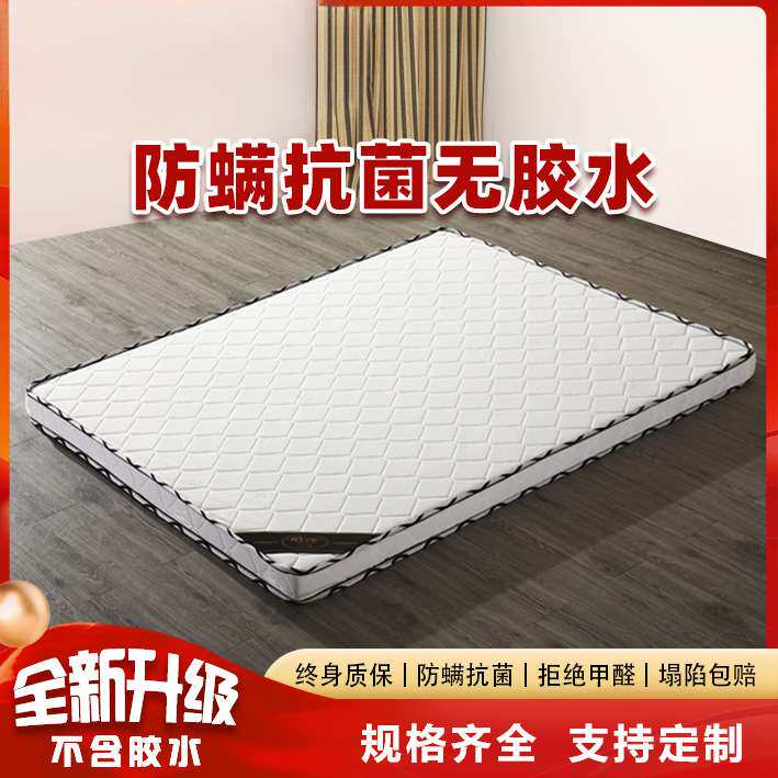 天然椰棕棕榈床垫棕垫1.5米1.8m经济型薄款1.2硬垫席梦思定 做双