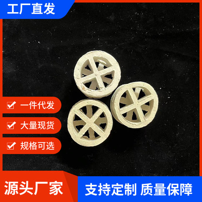 工厂直供76mm陶瓷阶梯环填料