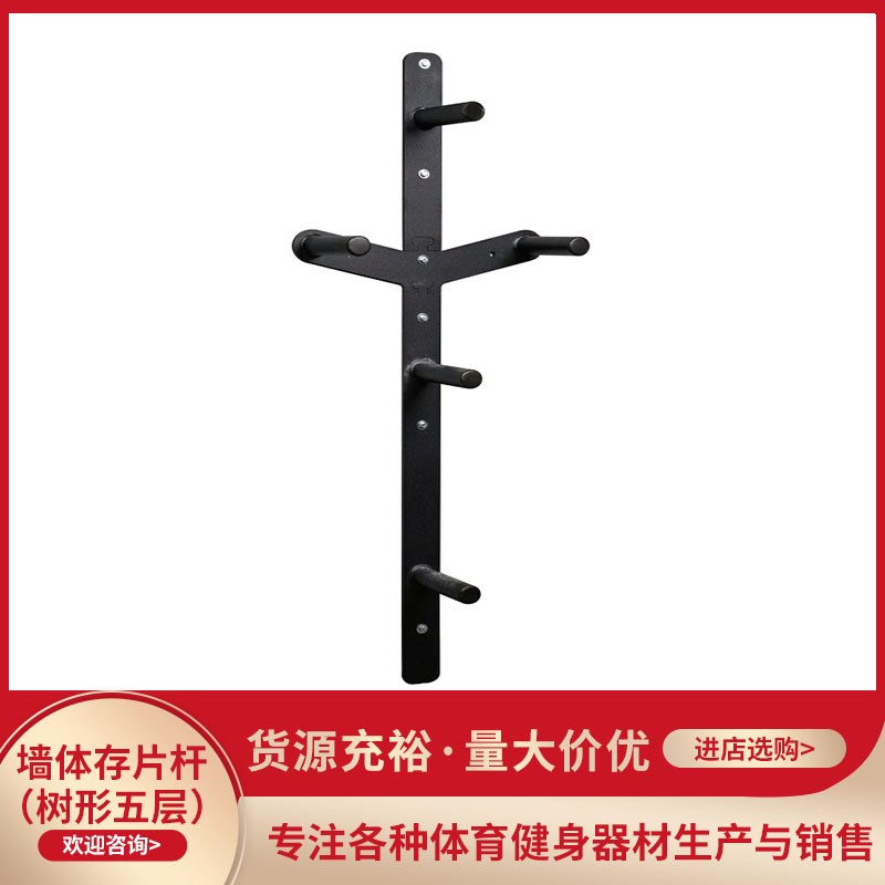 墙挂式杠铃片多层可选挂杆 奥片墙体储物架 健身器材收纳架
