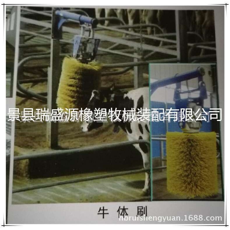 畜牧养殖设备 牛体刷 全自动按摩牛体清洁刷 挤奶机配件厂家供应