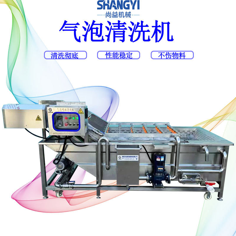 果蔬气泡清洗机鼓泡震动风干