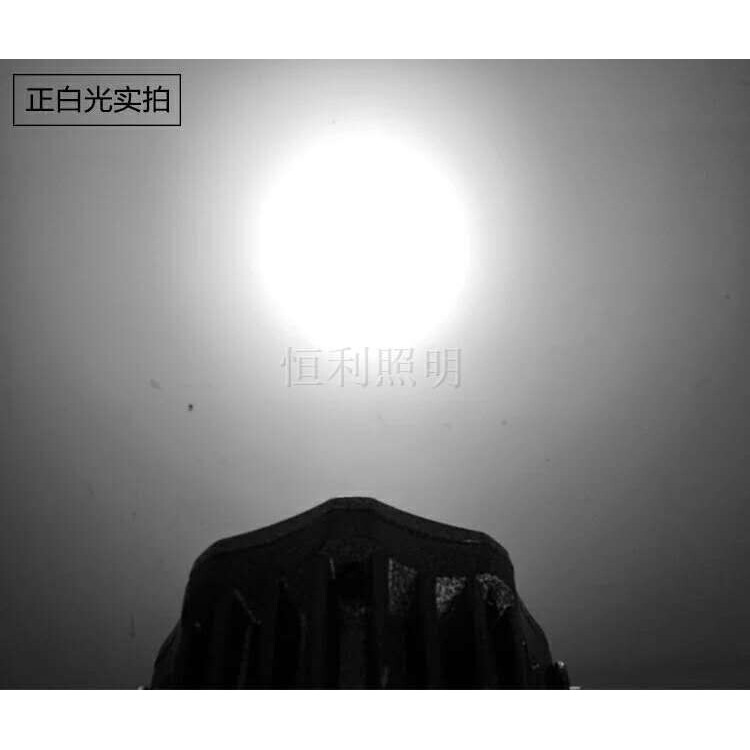 50W户外防水LED投射灯室外聚光远射灯公园园林射灯照树景观照明灯