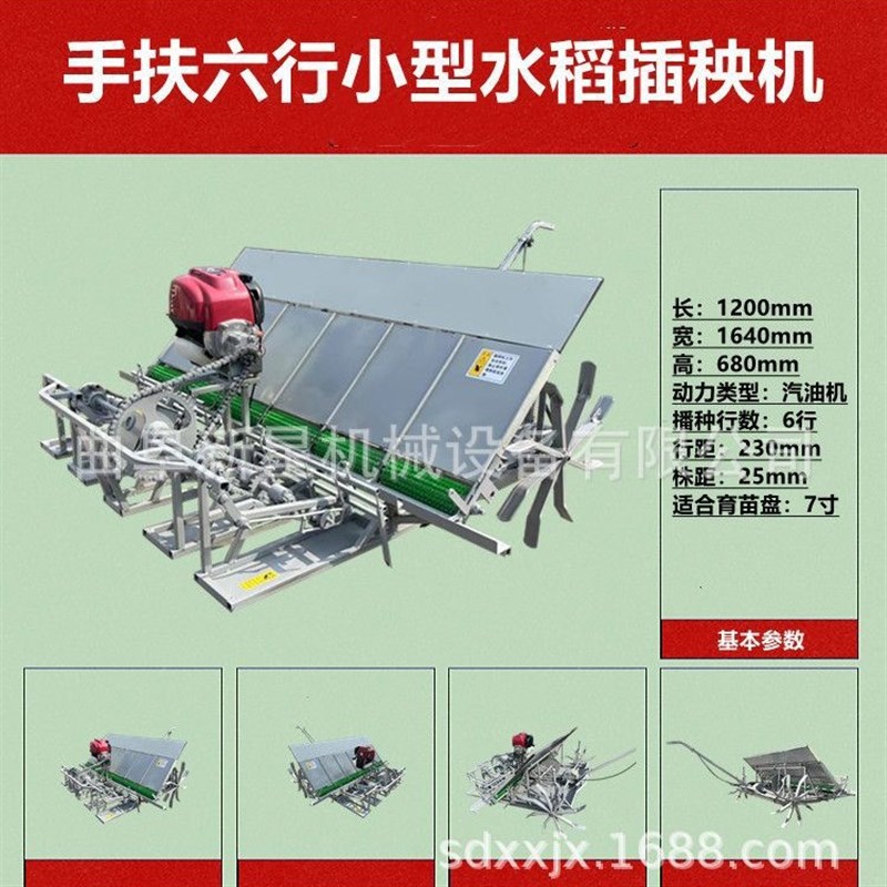 家用小型4-6行水稻插秧机 免E人工汽油动力轻型水稻种植机