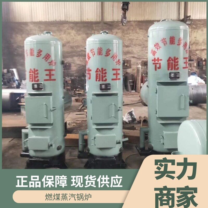 实力商家生产直销燃煤蒸汽锅炉 工厂热水取暖燃炉