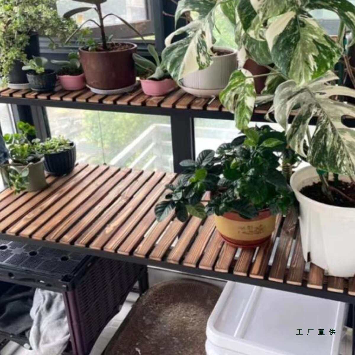 阳台实木阶梯猫爬架大空间猫窝铁艺花架二层多功能宠物用品置物架