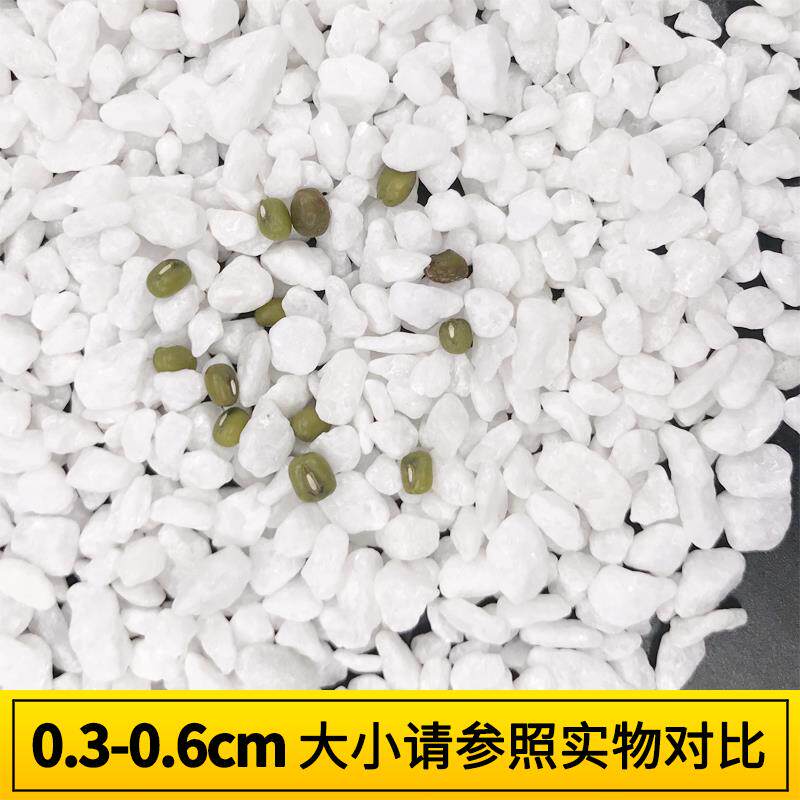 鹅石石天然雨花101小白石子多肉铺面卵石盆栽花盆养花水培石白色