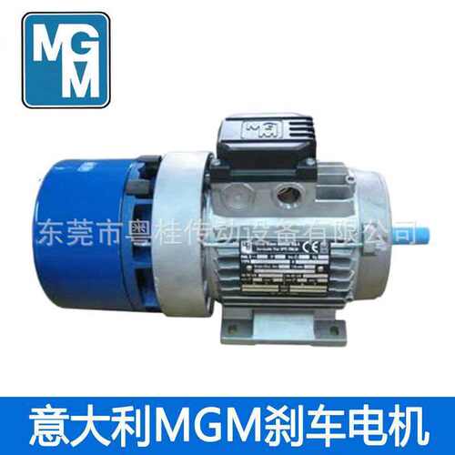 意大利MGM刹车电机，意大利MGM，BA80A2刹车电机，MGM原装
