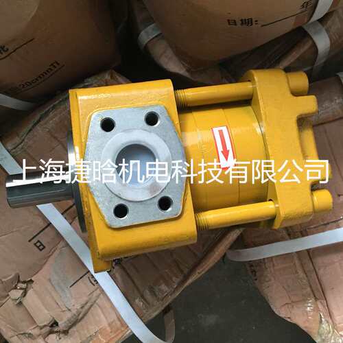 NBZ2 NT2-G10F NB2 NBT3 G12F G16F G20F 液压泵 折弯机齿轮泵