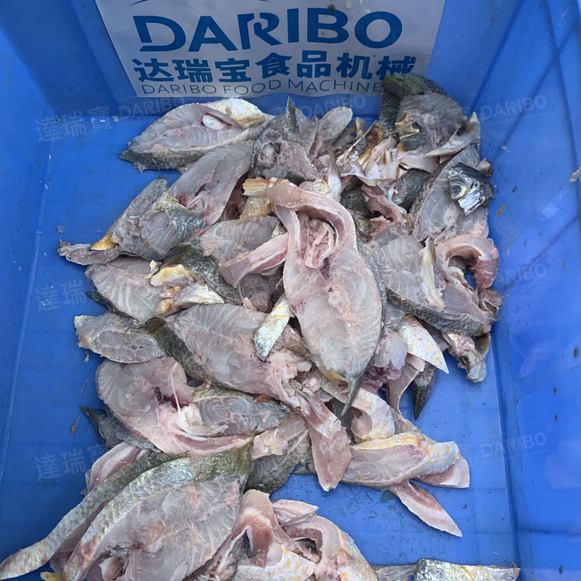 W医院团餐供应旅游团餐供给鱼肉切段机切鱼块机器食品级UPE材质