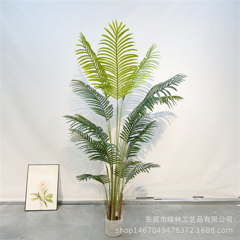 仿真凤尾葵全机做绿植盆栽散尾葵家居装饰落地盆栽凤尾葵现货绿植