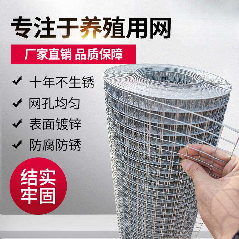 铁丝网围栏热镀锌电焊网片网格围栏养殖网钢丝防护网圈地网荷兰网