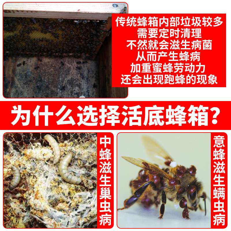 蜂大哥活底蜂箱中蜂全套十框七框标准杉木板煮蜡蜂桶养蜜蜂箱