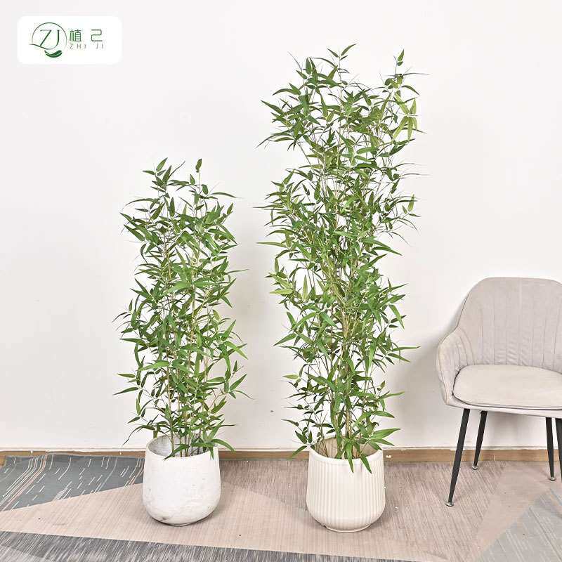 仿生绿植竹子装饰树家居客厅茶室新中式假竹子植物盆栽造景摆件