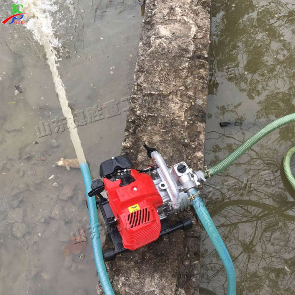 二冲程汽油机水泵 农用菜地园林灌溉抽水泵 小型防汛自吸抽水机