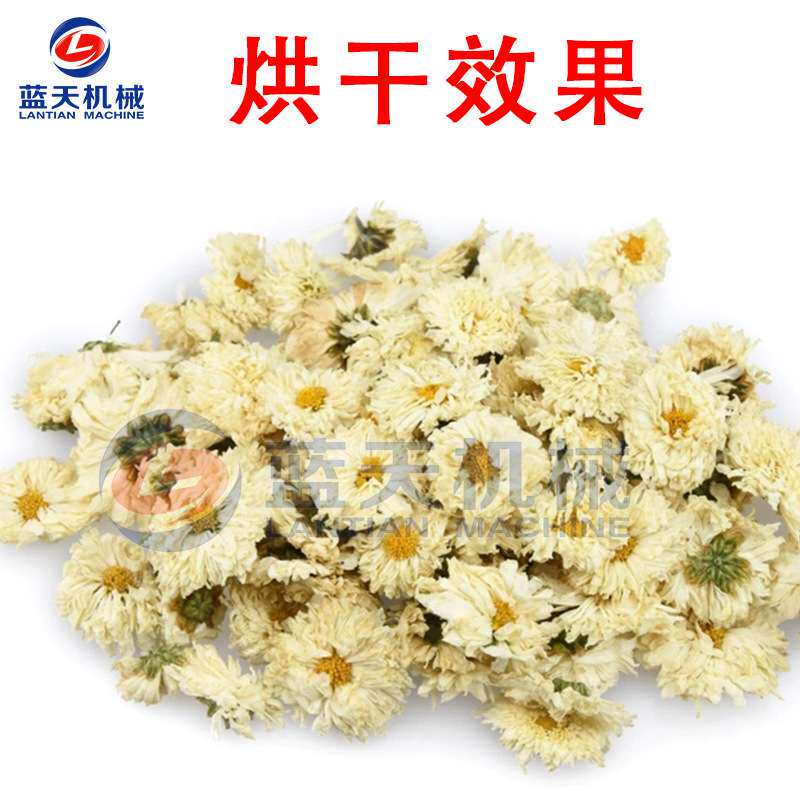 黄山贡菊烘干机 智能徽州贡菊烘干箱 毫菊野菊花茶烘干设备一体机