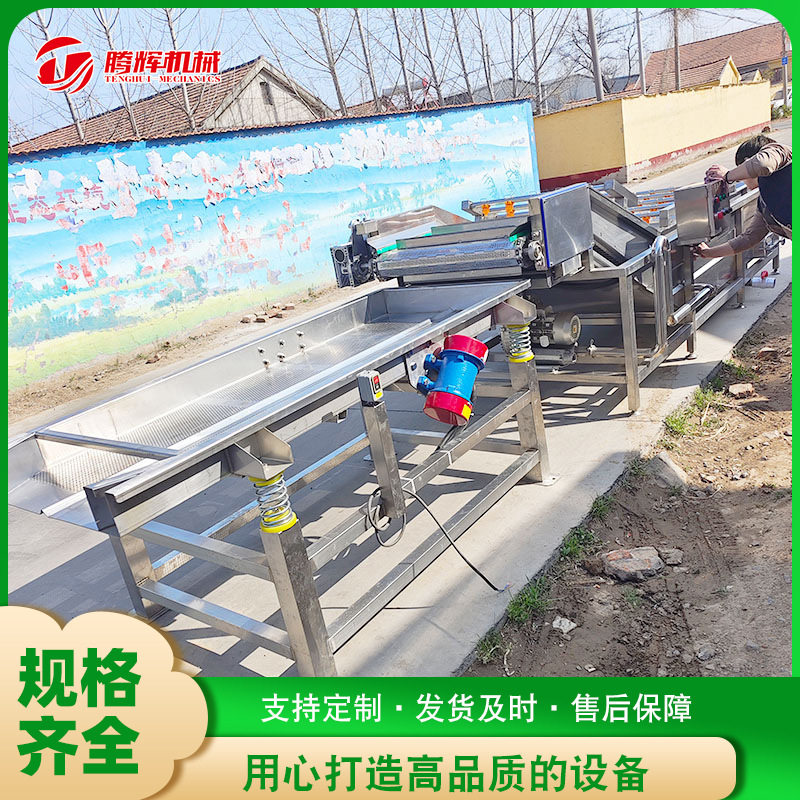 不锈钢全自动香菇脚清洗机菌菇类气泡洗菜机蔬菜气泡清洗设备