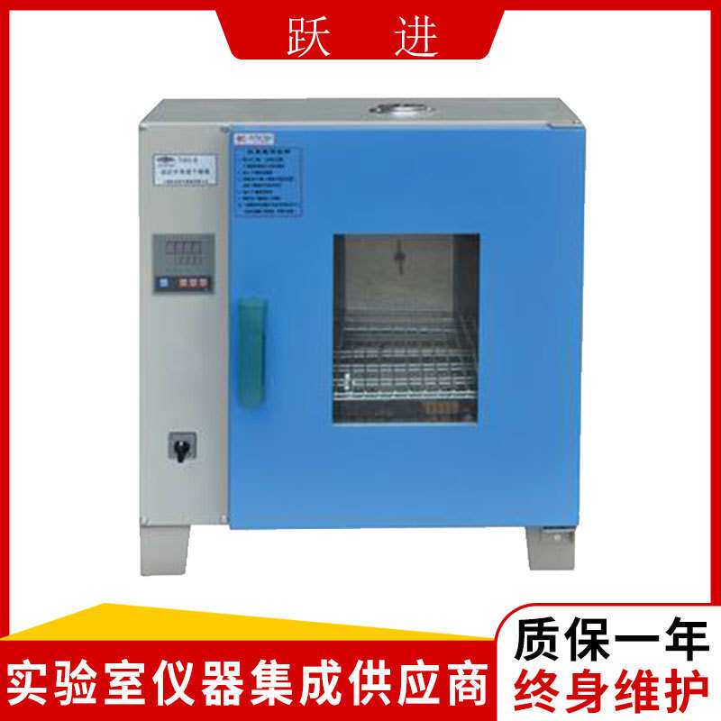 上海跃进HYHG-II-270远红外干燥箱(液晶屏显示)(可编程)