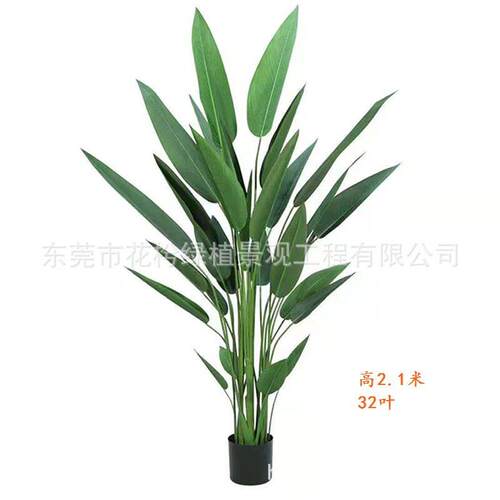 北欧仿真美人蕉客厅假绿植旅人蕉盆栽家居落地植物盆景室内装饰