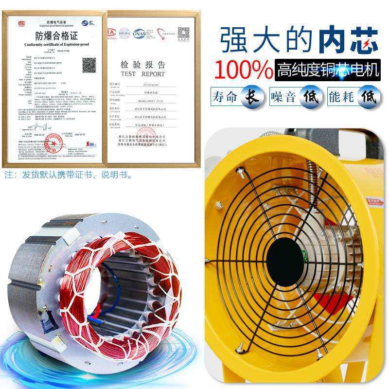 BSFT-200/250/300/400/500防爆便携移动式风机 风管220V/380V船用