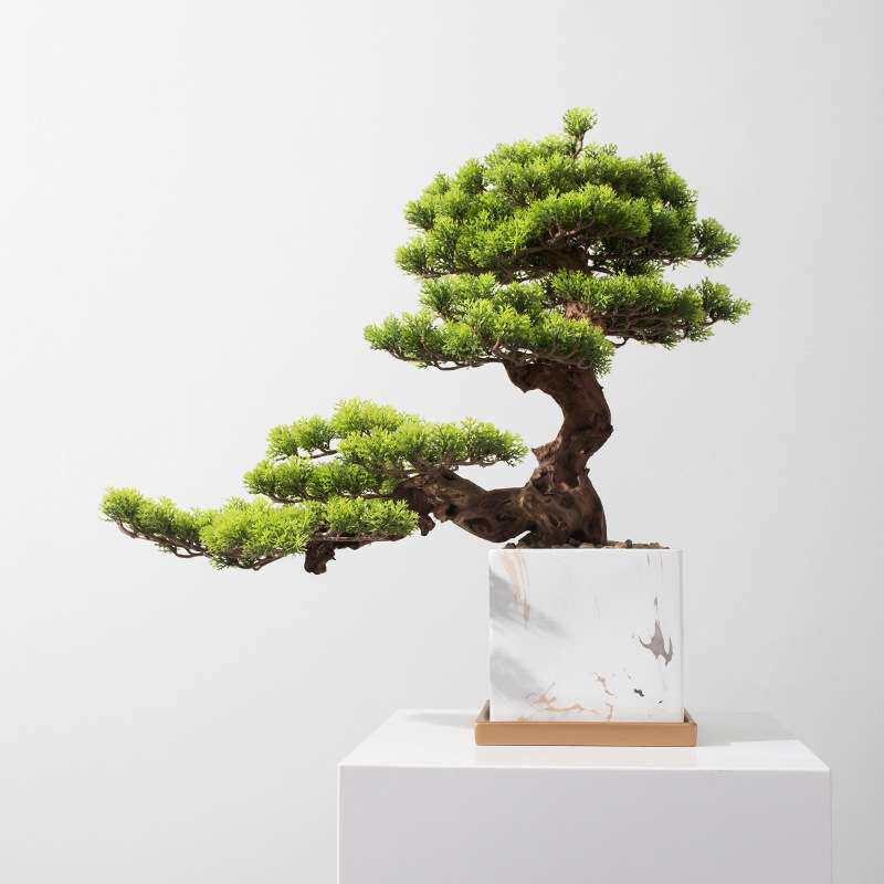 仿真植物崖柏迎客松盆景摆件茶楼酒店玄关桌售楼处新中式软装饰品