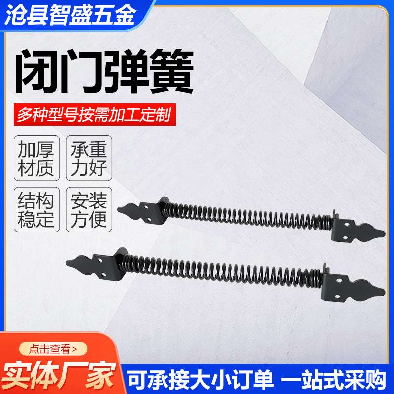 闭门器弹簧不锈钢张力弹簧拉力弹簧压缩弹簧弹簧配件厂家供应图片