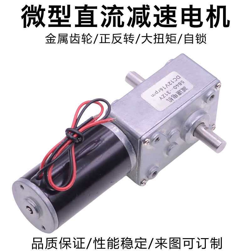 微型直流蜗轮蜗杆齿轮减速电机12V24V自锁双出轴正反转可调速马达