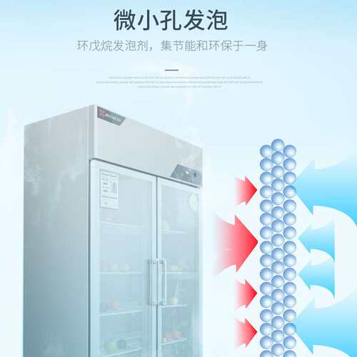 金松洛德展示柜商用冰箱双门留样冷藏陈列柜二门三门点菜柜保鲜柜