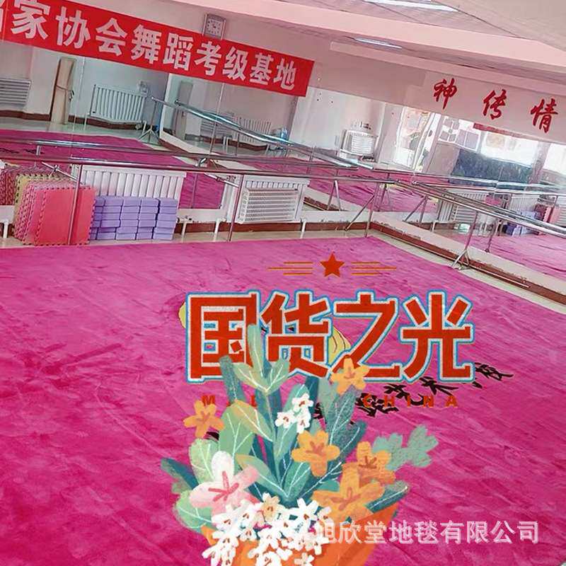 武术地毯舞蹈室体操跆拳道运动健身房毯训练专用比赛加厚手工地毯