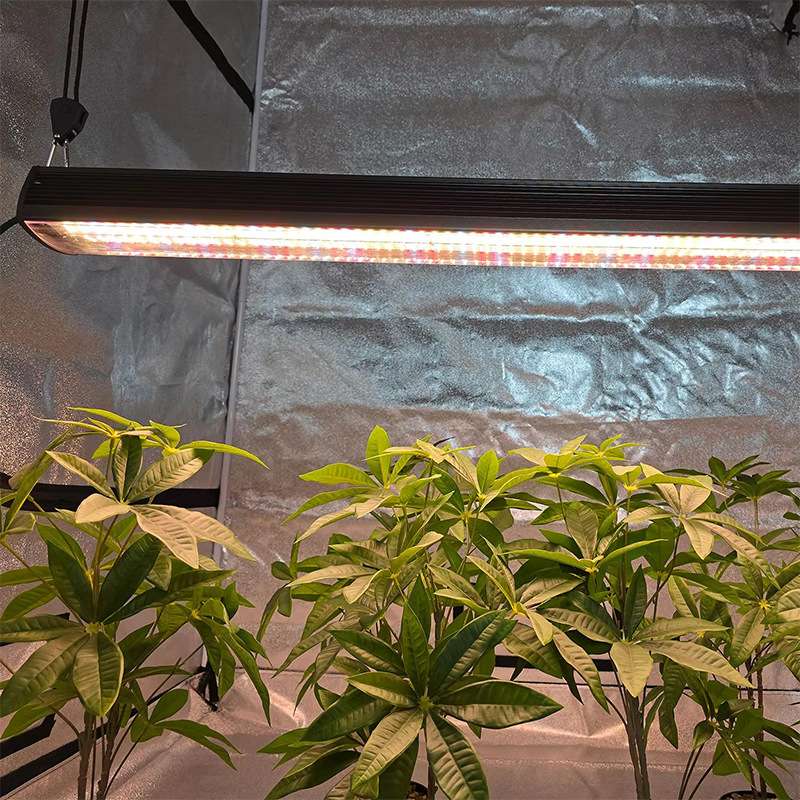 蔬菜大棚室内种植补光灯200瓦树下Under Canopy LED植物灯条防水