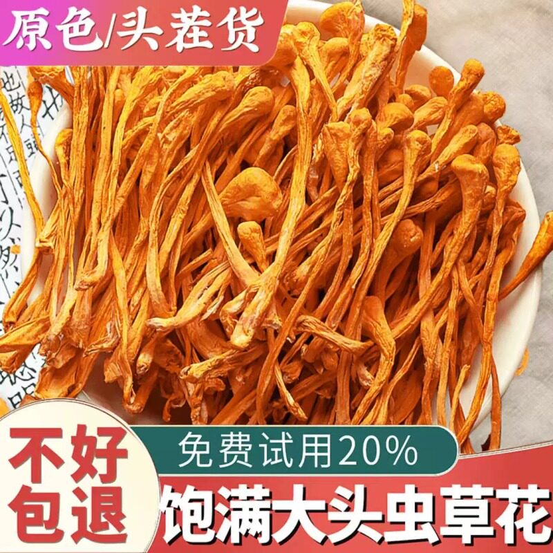 当季虫草花嫩干货孢子头新鲜北金蛹虫草煲汤精品散装商用试吃手工