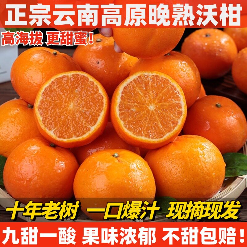 云南晚熟高原沃柑5斤新鲜孕妇水果当季整箱大果 手剥橘子柑橘桔子
