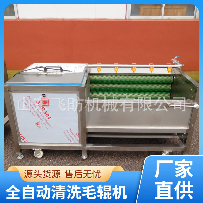生姜洋葱毛辊清洗机红薯土豆磨皮机蘑菇干菌菇去泥沙杂质清洗设备