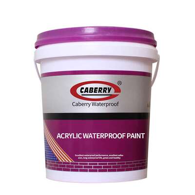 灰色橡胶防水涂料Silicone roof Waterproof coating屋面外墙防水