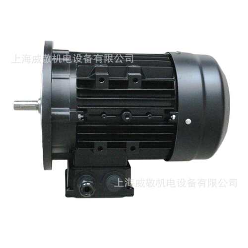 RS/RL/RLS130 Riello燃烧器专用油泵电机 2.2KW MS2 90L1-2 B5