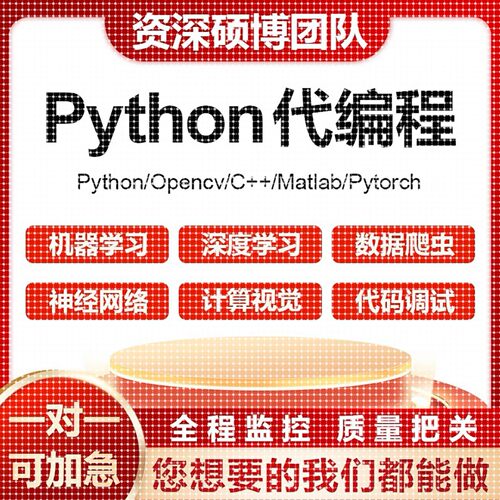 python代做程序深度学习机器图像处理代码指导代编写调试强化学习