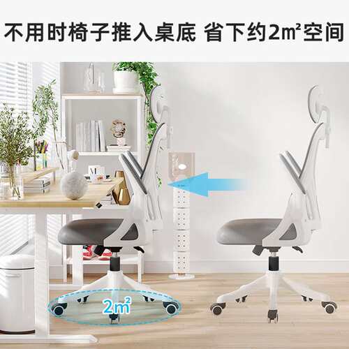 人体工学椅家用电脑椅久坐办公座椅书桌椅学习椅子电竞椅现代简约