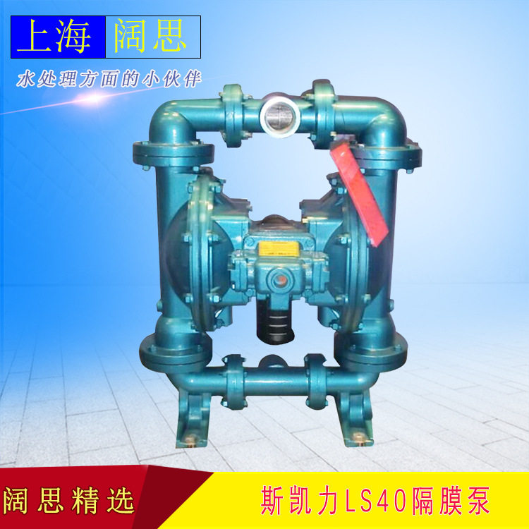 斯凯力多功能气动隔膜泵LS40AA-AA-SP-SP-SP-00工业排污气动泵