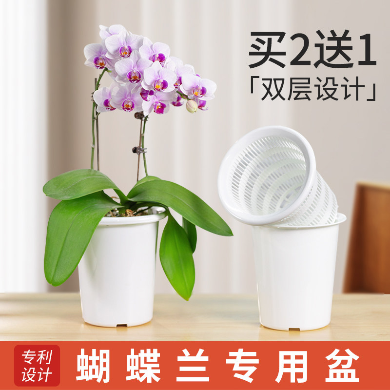 美莳养蝴蝶兰专用花盆塑料透气控根网杯君子兰文心兰石斛双层套盆