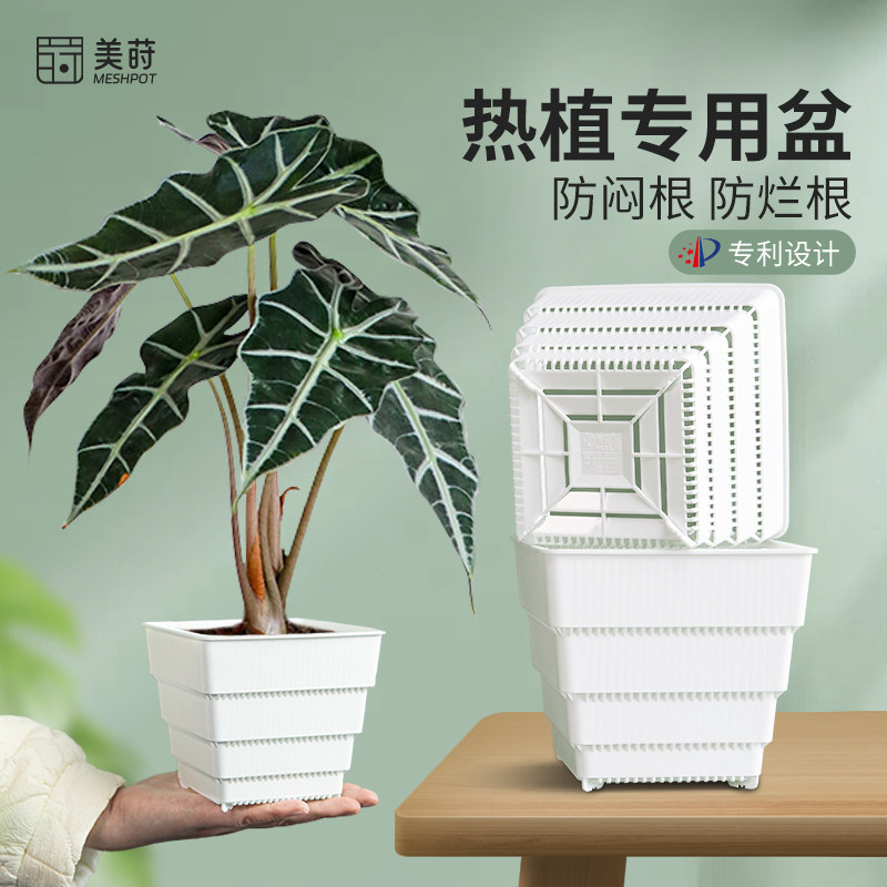 美莳热植海芋花烛专用控根花盆透气彩叶芋树脂塑料方形青山盆套盆图片