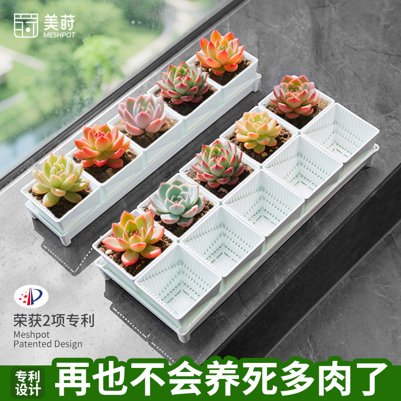 美莳控根多肉花盆长条形塑料透气专用小号方盆和营养土带托盘包邮