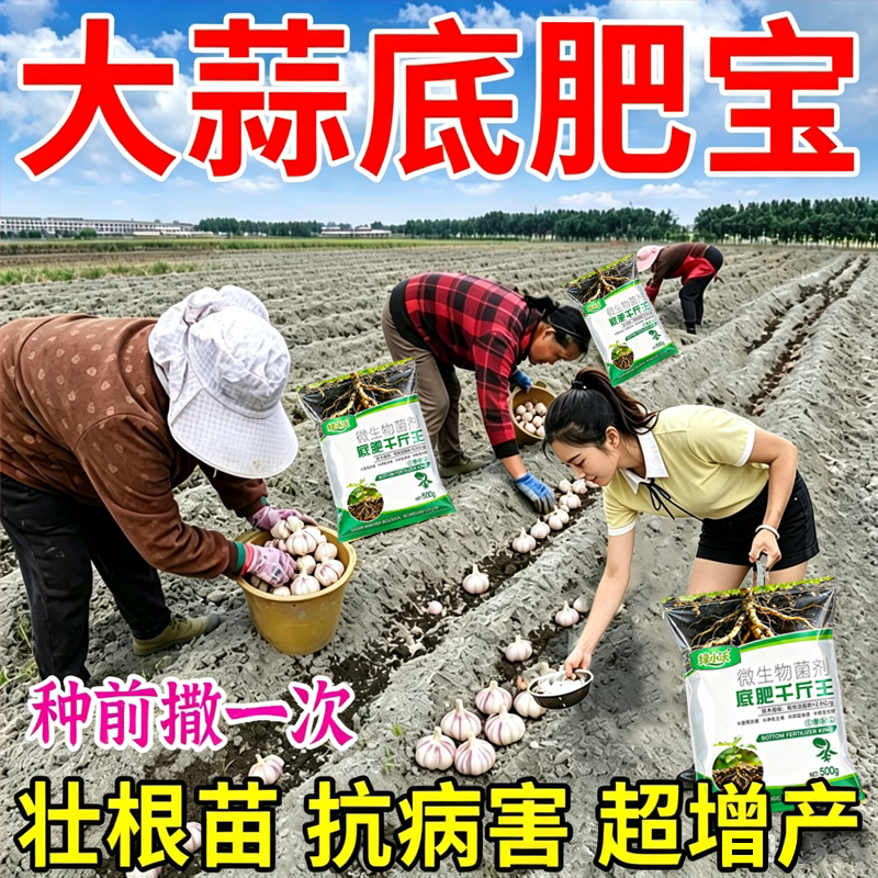 大蒜专用底肥大蒜猛长防干尖防病害粗壮大蒜专用肥膨大素专用肥料