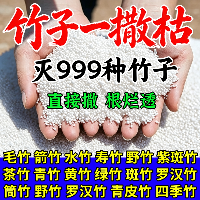 十年不长竹强力除大竹子
