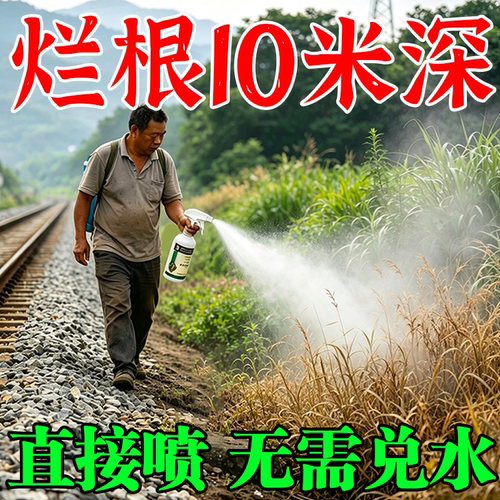 五年不长草除草烂根强力一扫光